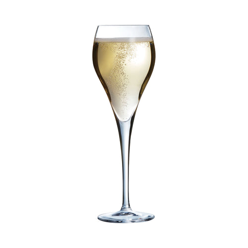 Flûte à champagne 16 cl Brio