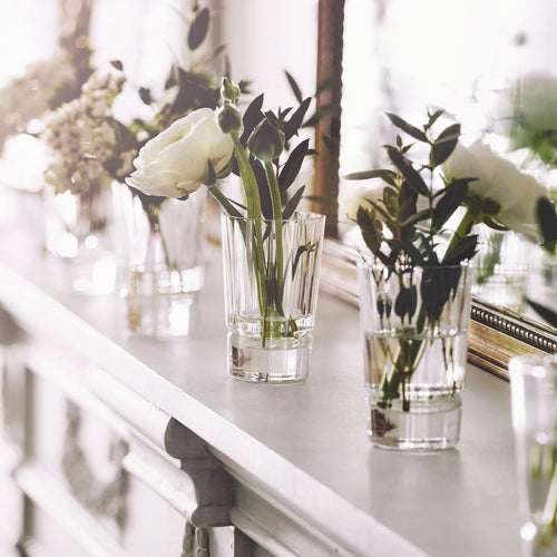 Verre à shooter 6 cl Macassar