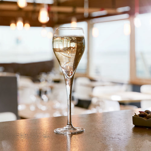 Flûte à champagne 16 cl Brio - 2