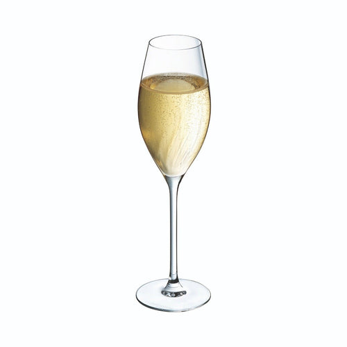 Flûte 24 cl Swirly